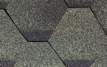 Collaton St Mary fibreglass shingle repairs