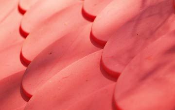 Collaton St Mary plastic roof costs