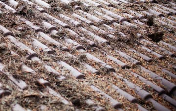 Collaton St Mary roof cleaning companies