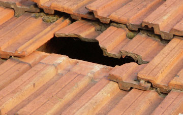 roof repair Collaton St Mary, Devon